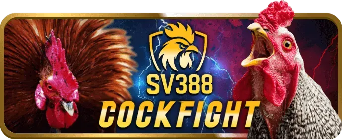 Rút tiền thắng cược n666 win